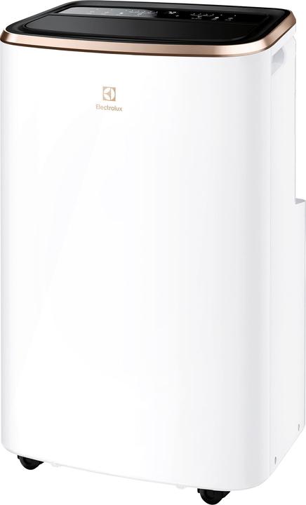 Electrolux Chill Flex Pro Gold (40 m², 9000 BTU/h)
