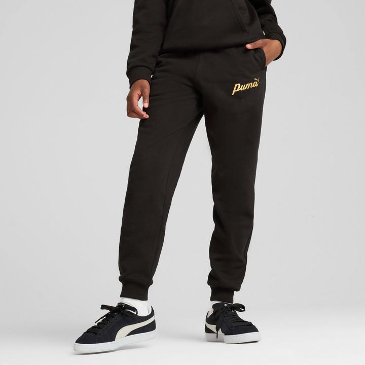 Image du produit Puma ESS+ SCRIPT Metallic Pants FL G (164)