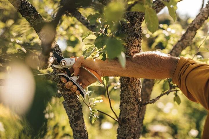 Productafbeelding Fiskars Plus PowerLever metalen snoeischaar met inklapbaar lemmet (P751)