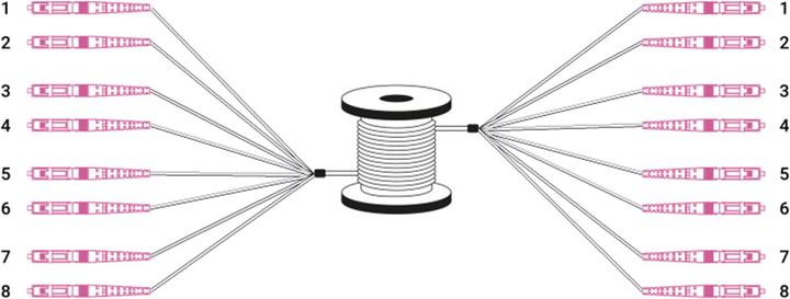 Image du produit Digitus Câble breakout fibre optique universel préassemblé, multimode OM4, 8 fibres, LC/UPC – LC/UPC (LSOH, CAT6, 150 m)