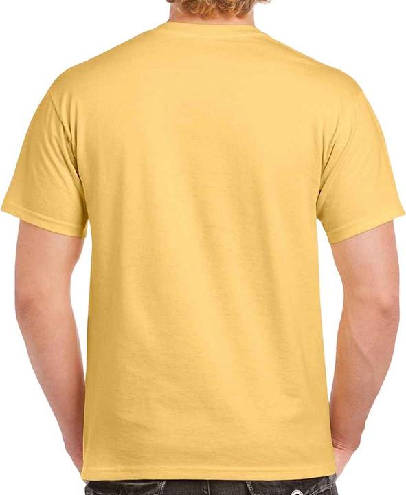 Actual product image Gildan Mens Heavy Cotton T-Shirt (L)