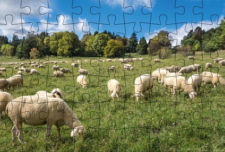 Produktbild Puzzle-Postkarte Schwäbische Alb.173