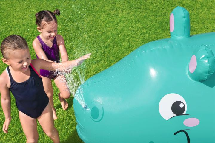 Image du produit Bestway Hippo
