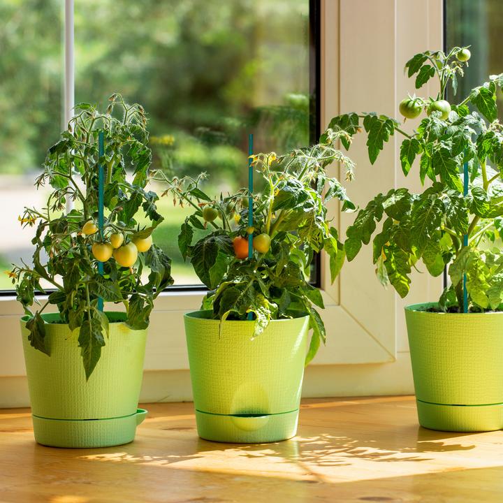 Productafbeelding Relaxdays 50x plantstokjes (50 cm, 50 cm)