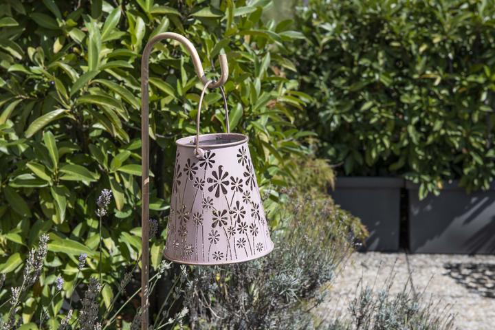 Actual product image STT Antic Daisy