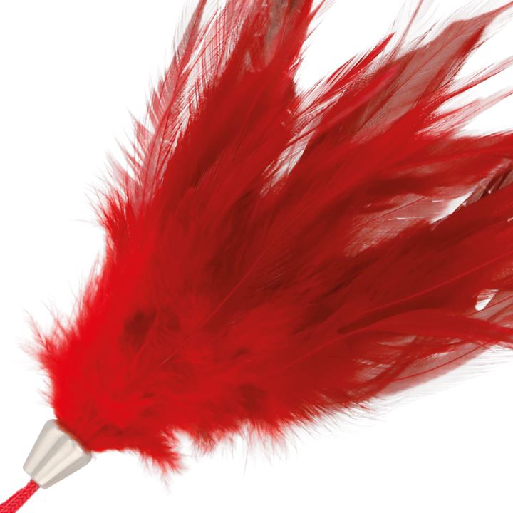 Produktbild Darkness Sensations Dunkelheit Rote Feder 17cm