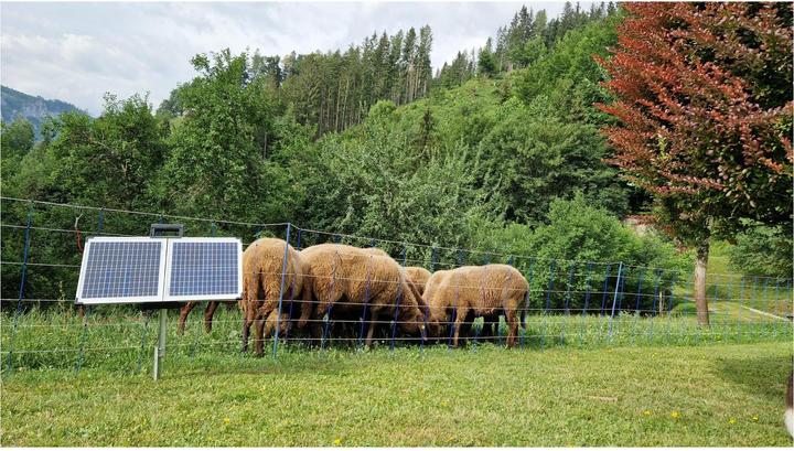 Produktbild AKO Solargerät Sun Power S3800 (40 W, 14 kg)