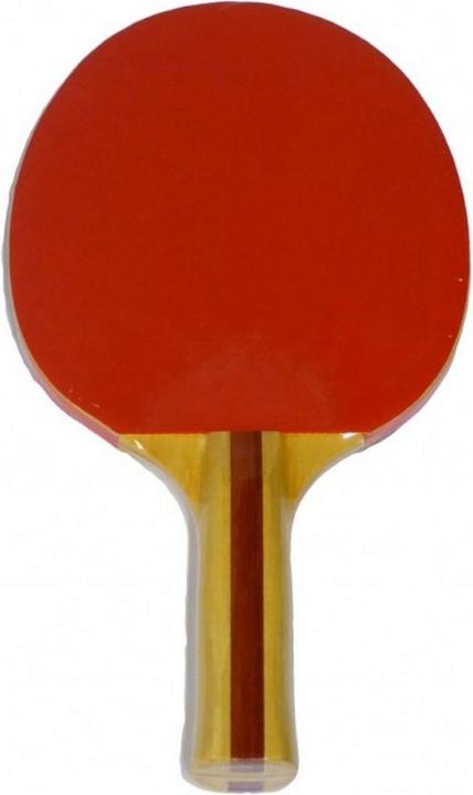 Produktbild Lion Reversetischtennisschläger 120