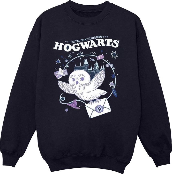 Image du produit - Sweat OWL LETTER FROM HOGWARTS - Fille (140, 146)