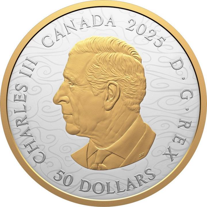 Immagine prodotto Royal Canadian Mint Silber Water Dragon 5 oz PP - Teilvergoldet 2025 (999.90, 2025)