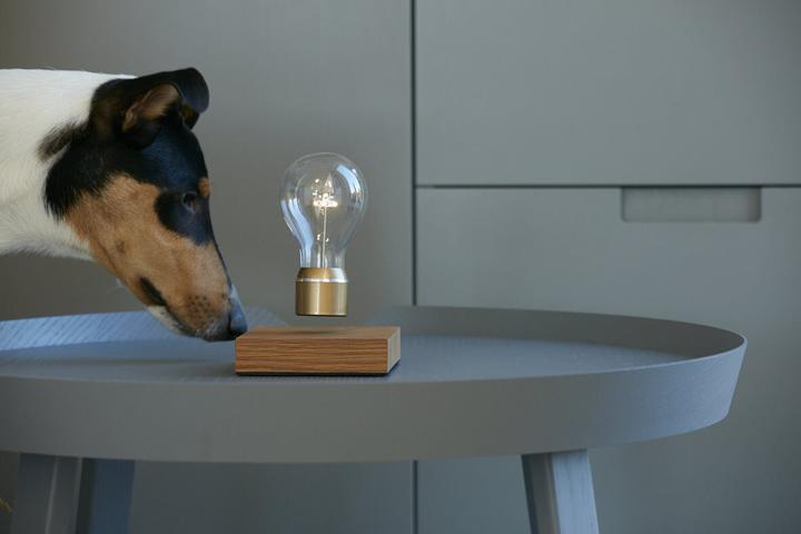 Image du produit Flyte Lampe Nikola Levitation (60 lm)