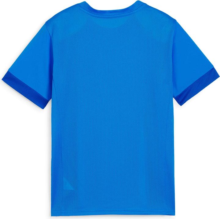Actual product image Puma teamGOAL Matchday Jersey jr (164)