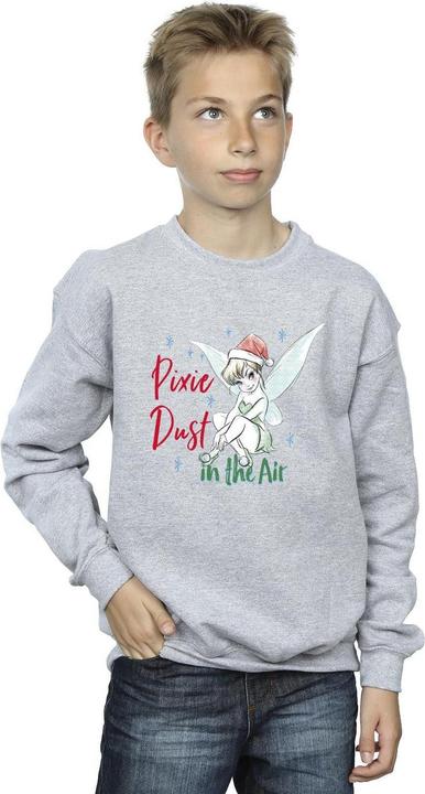 Actual product image Disney Boys Tinker Bell Pixie Dust Sweatshirt (128)