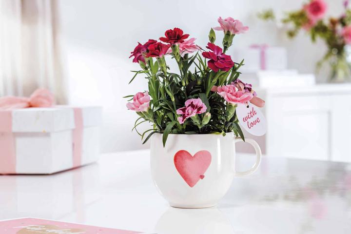 Immagine prodotto Villeroy & Boch Tazza che invia amore con amore (290 ml, 1 x)