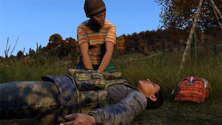 Actual product image Sold Out DayZ (PS4, DE)