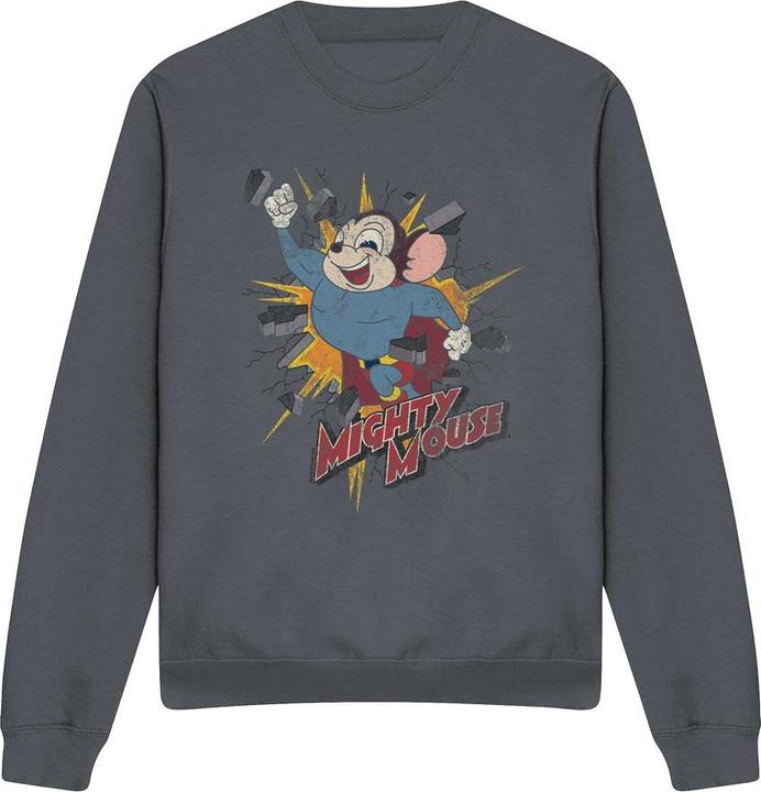 Actual product image Fruit of the Loom Unisex Adult Break Through Sweatshirt (L)