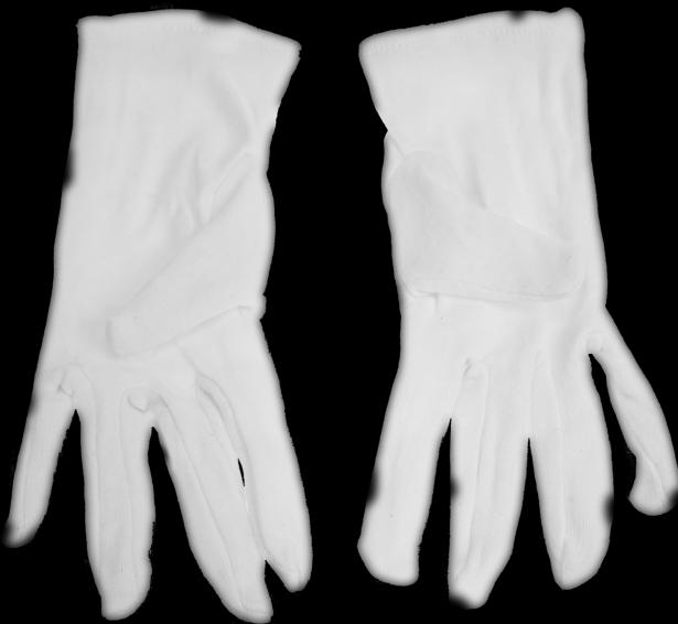 Image du produit Gant en coton blanc (paire) taille M (8), longueur 24 cm (M)