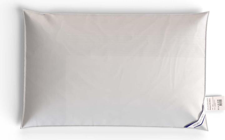 Actual product image Capistrano Standard cushion (65 x 100 cm)