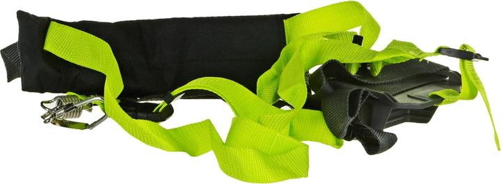 Image du produit Ryobi RPP755E (Scie à chaîne électrique)