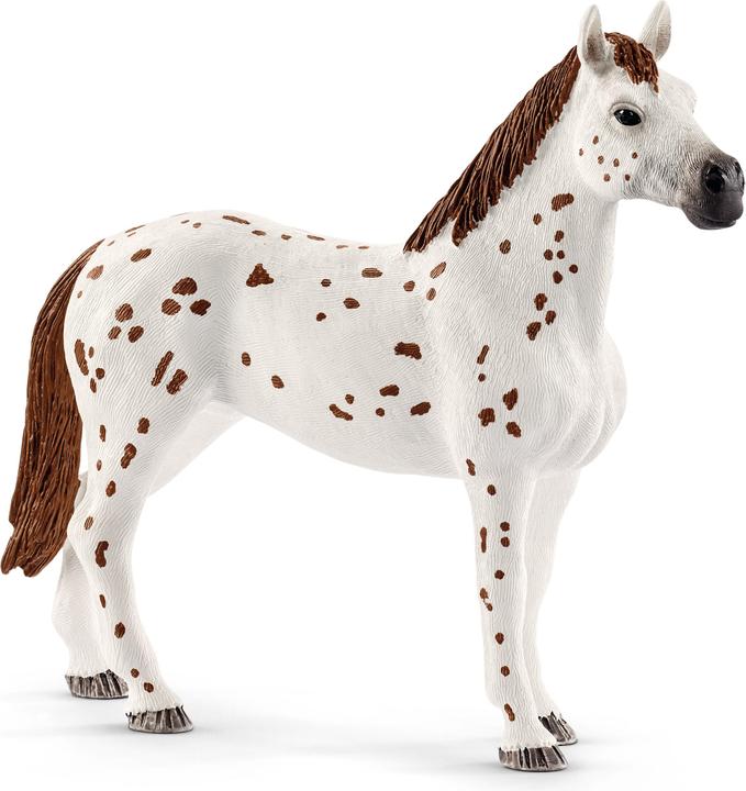 Produktbild Schleich Horse Club Lisas Turnier-Training
