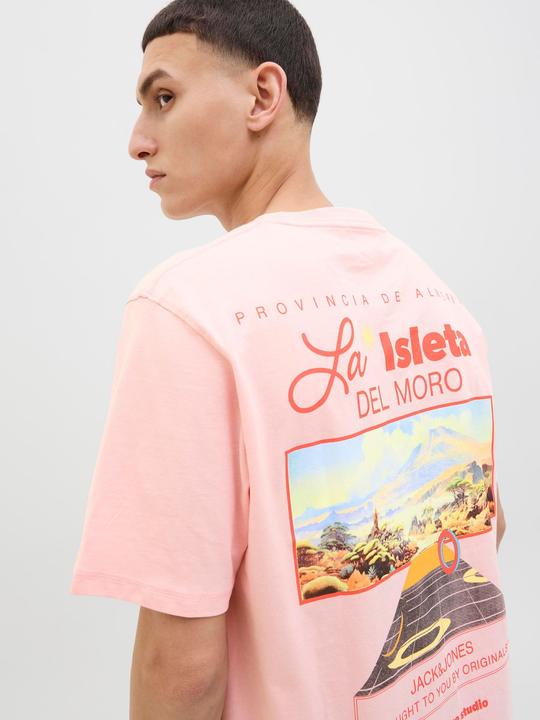 Actual product image Jack & Jones Rückenprint Rundhalsausschnitt T-shirt T-shirt (XS)