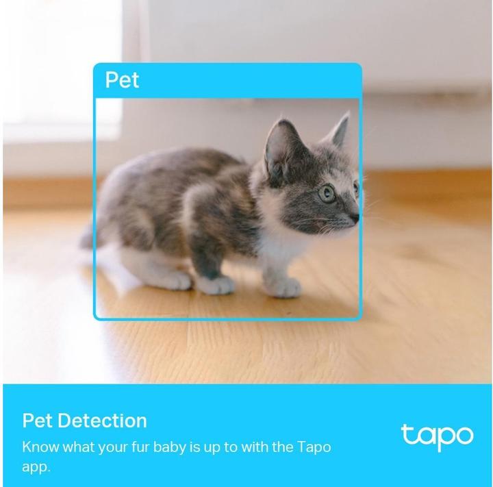 Actual product image TP-Link Tapo C225 V1 (2560 x 1440 Pixels)