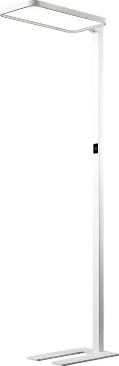Actual product image Hansa Floor lamp LED Saphir white (7500 lm)