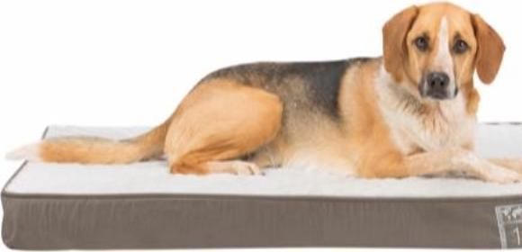 Actual product image Trixie Vital (Dog, Cat)