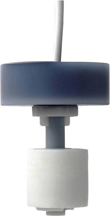 Actual product image Schabus Suspended float switch plastic