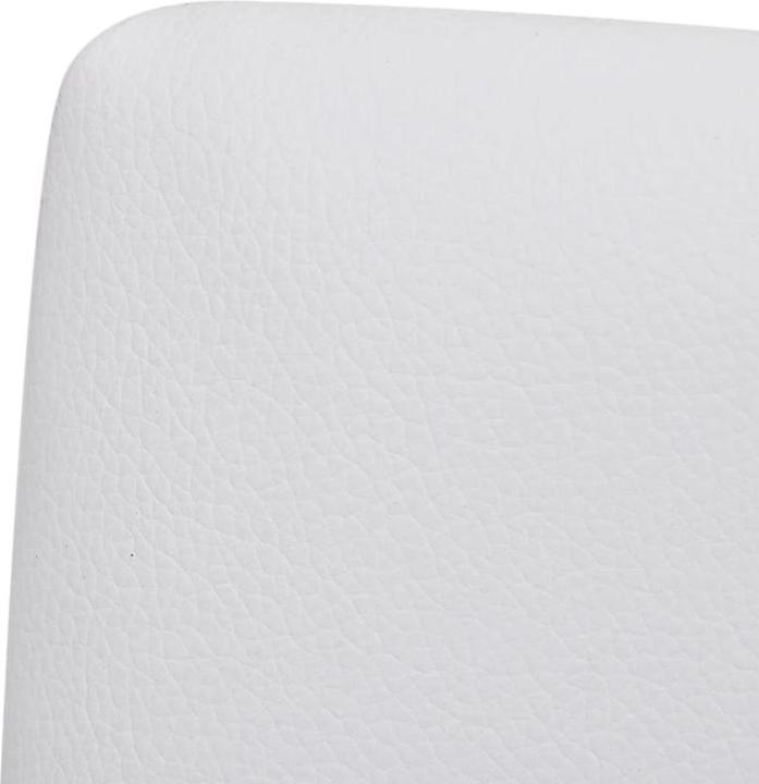 Actual product image VidaXL Dino