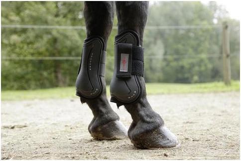Actual product image Covalliero Tendon protector TecAir