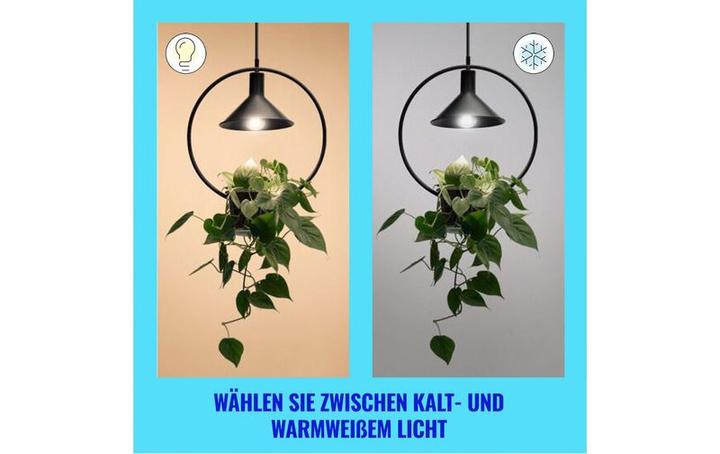 Produktbild WiZ Filament-Lampe (E27, 4.30 W, 903 lm, 1 x, A)