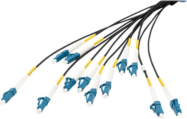 Image du produit Digitus Câble breakout fibre optique universel préassemblé, multimode OS2, 12 fibres, LC/UPC – LC/UPC (LSOH, CAT6, 100 m)