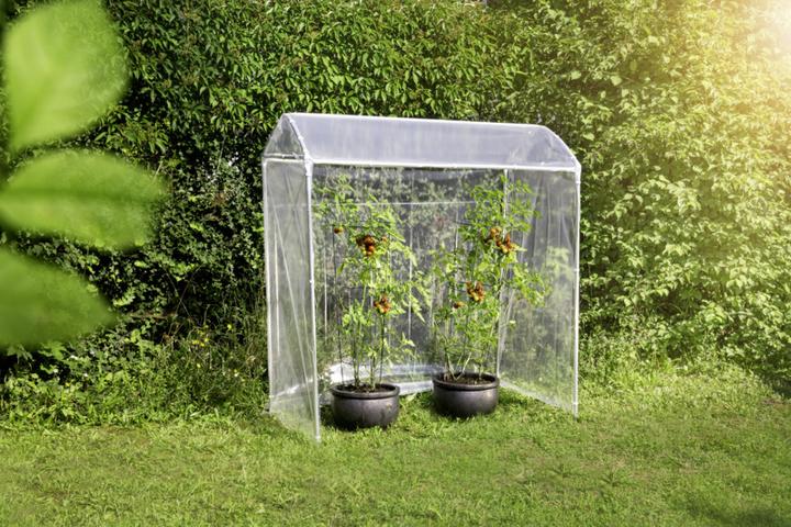 Image du produit Windhager Film de remplacement pour la serre de tomates