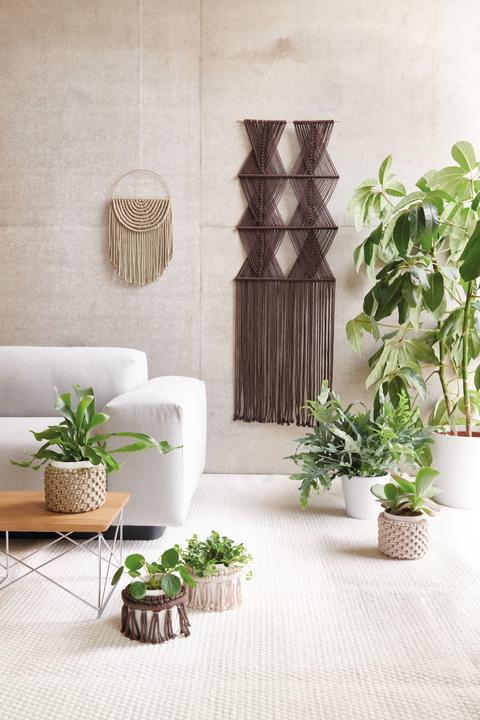Actual product image Rico Design Rico Creative Cotton Cord, 25 m (25 m)