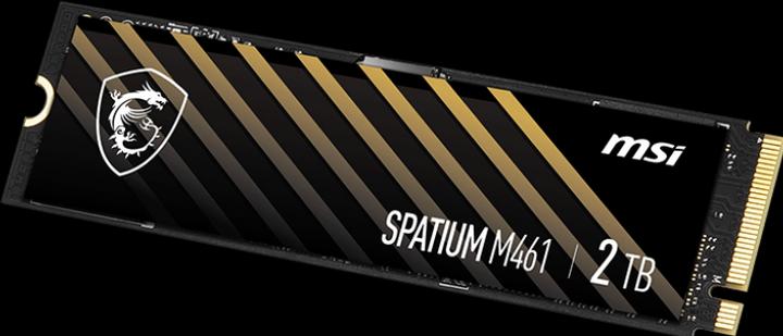 Actual product image MSI Spatium M461 (2000 GB, M.2 2280)