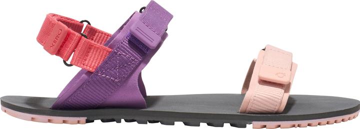 Actual product image Xero Shoes D-Trail (39.5)