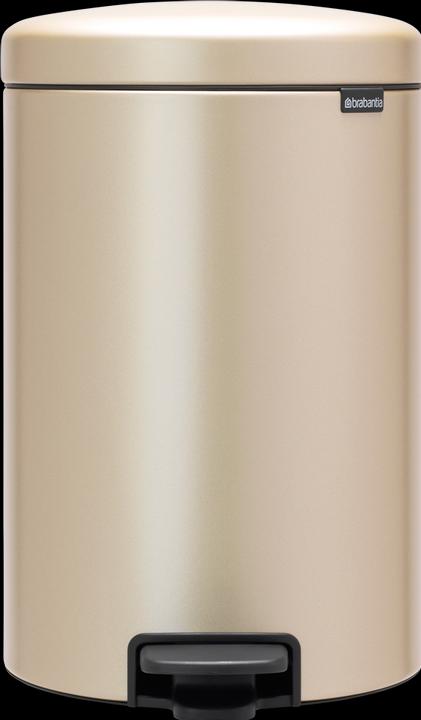 Immagine prodotto Brabantia Cestino per i pedali (20 l)