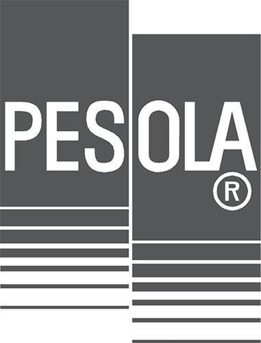 Immagine prodotto Pesola Equilibrio della primavera