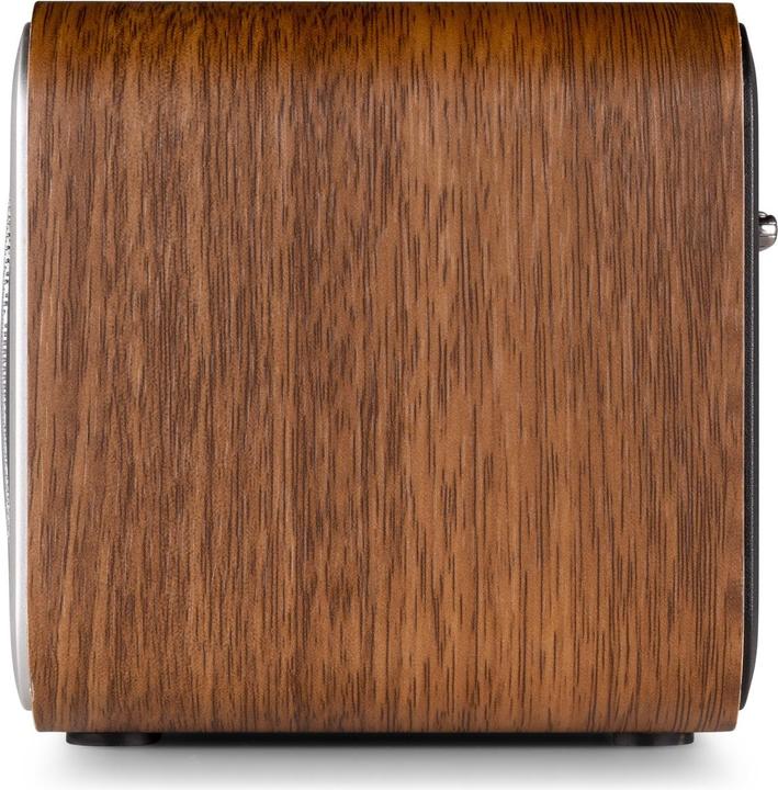 Actual product image Audizio Novara Silber (FM, DAB+)