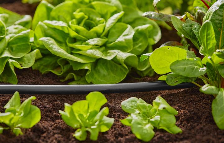 Produktbild Gardena Verlegerohr (1/2"x 15m) (Tropfschlauch + Tropfrohr)