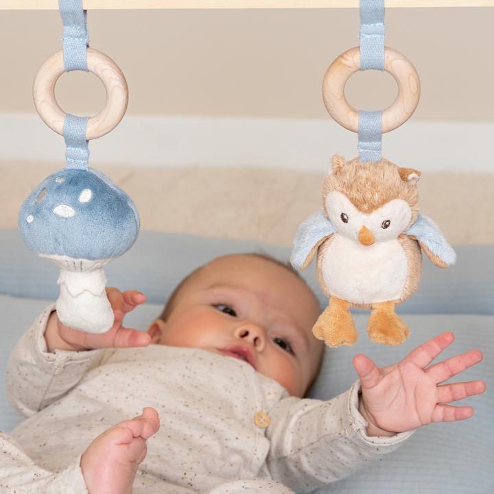 Image du produit Little Dutch Babygym Forest Friends