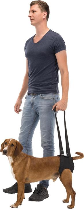 Actual product image Trixie Walking aid (Dog)
