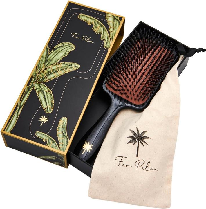 Actual product image Fan Palm - Paddle Brush Large Big Star