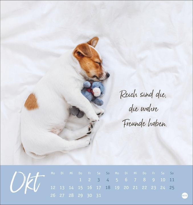 Image du produit Ziemlich beste Freunde Postkartenkalender 2026 - Für immer dein (Couverture rigide, Allemand)