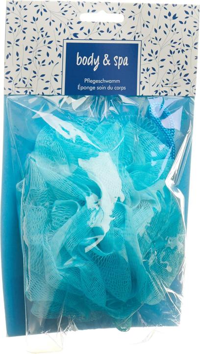 Herba Massageblume