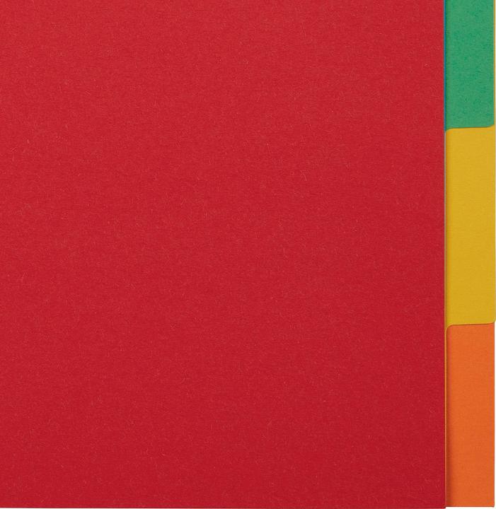 Esselte Indice cardboard blank Economy