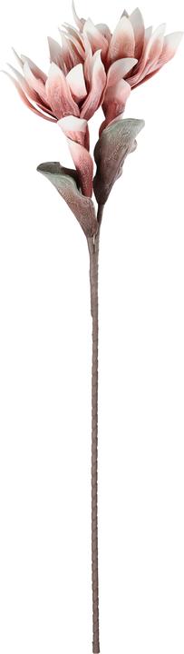 Image du produit EGLO LIVING Molave (28 cm)