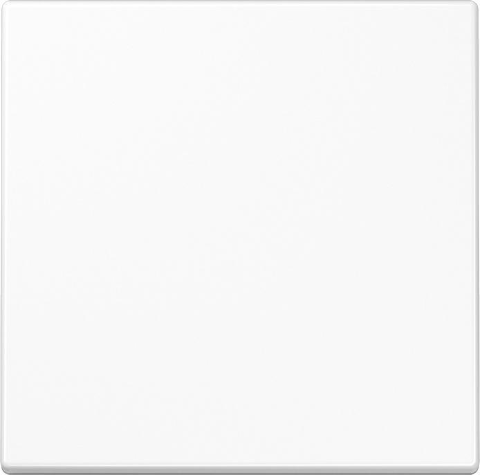 Actual product image JUNG Rocker switch LS990WW alpine white