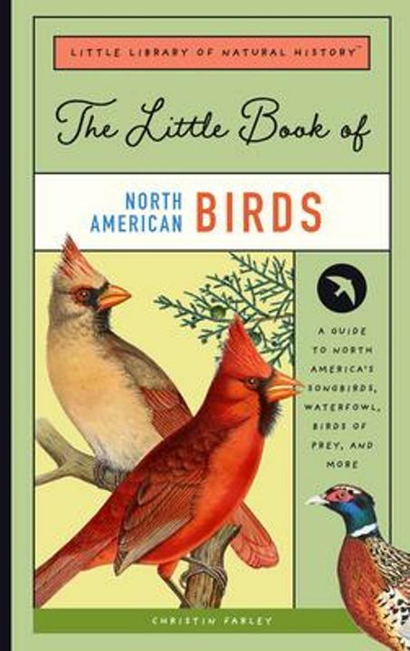 Produktbild The Little Book of North American Birds: A Kid/'s Guide to North America/'s Feathered Friends (Englisch, Christin Farley, 2022)